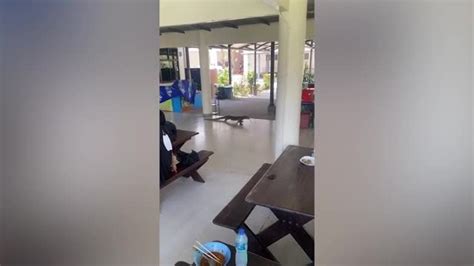 Godzilla Like Monitor Lizard Rampages Through University Canteen