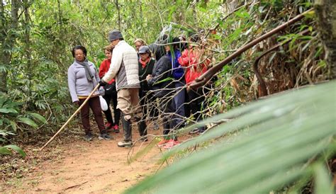 Visita Monitorada No Parque Chiquinho Ver Ssimo Em Mogi Est