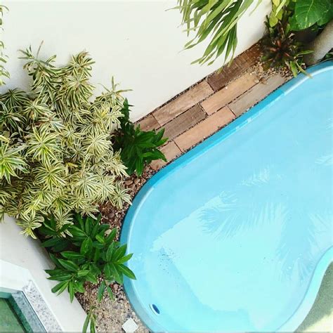 Melhores Plantas Para Piscinas E Inspira Es De Jardins