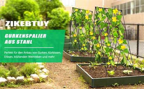 Zikebtuy Gurke Rankhilfe Er Set Garten Rankhilfe F R Rosen Und Blumen