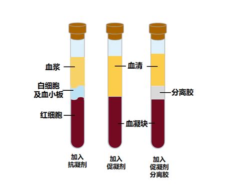 Elisa实验操作要点：血液样本收集处理知多少？ 江莱生物官网