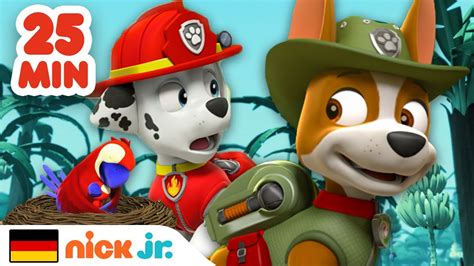 PAW Patrol Dschungelrettungen für 25 Minuten Nick Jr Deutschland