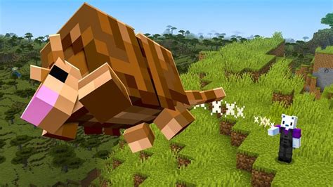 Full Guide How To Tame Armadillo Minecraft With Easy Steps