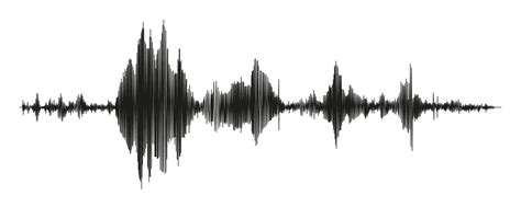 Seismograph Measurement Or Lie Detector Graph Seismic Measurements With Data Record Vector