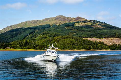 Argyll Boat Tours Adventure Awaits
