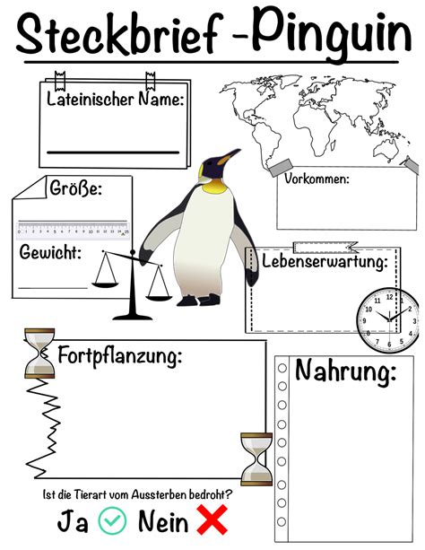 Steckbrief Pinguin Unterrichtsmaterial Im Fach Sachunterricht