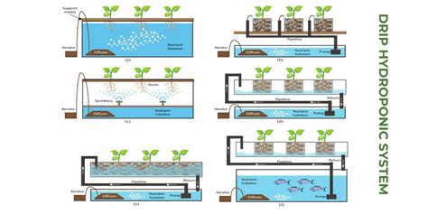 The Best Pros And Cons Of Drip Hydroponic System Is It Worth It South Elmonte Hydroponics