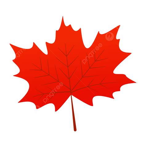 Autumn Maple Leaf Illustration Design Autumn Maple Leaf Fall PNG And