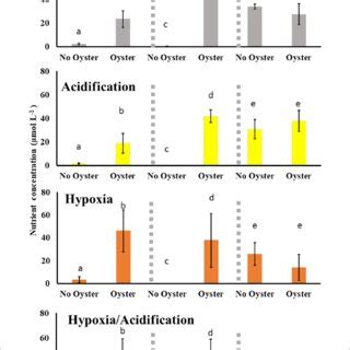 Ammonium NH 4 Nitrite NO 2 And Nitrate NO 3