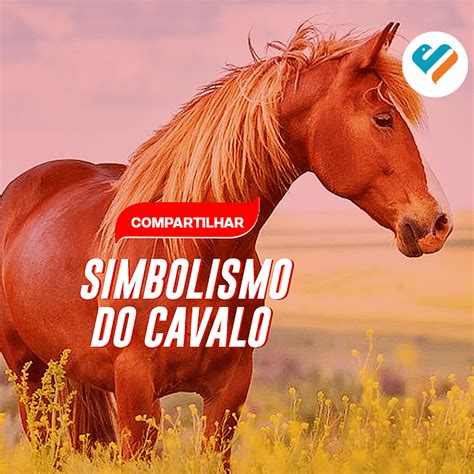 SIMBOLISMO CAVALO Portal Feedobem