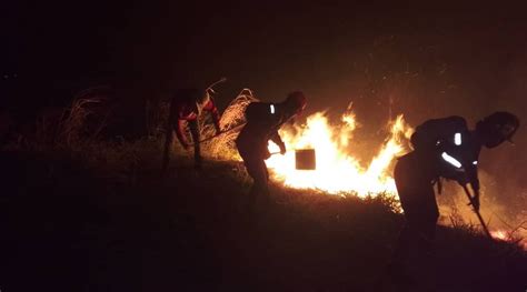 Detenidas Personas Por Provocar Incendios Forestales En Aragua Y M Rida