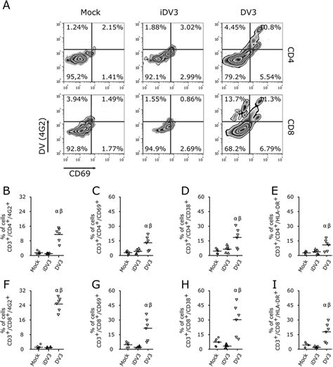 Dv Infection Activates T Lymphocytes A Representative Flow Cytometry