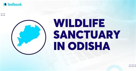 Wildlife Sanctuaries Of Odisha Explore Top List Now