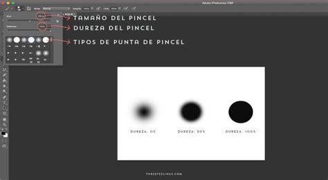 Paso A Paso Aprende A Utilizar Los Pinceles En Photoshop Feeling Studio