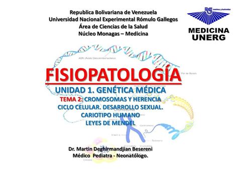 Cromosomas Y Herencia Maria Rodriguez Udocz