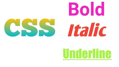 How To Make A Text Bolditalic And Underline In Css Basics Of Css