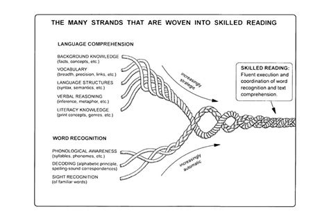 Scarborough S Rope Model For Reading