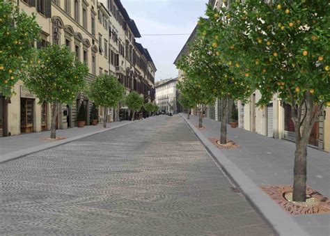 Via Cavour E Vittorio Veneto Agrumi E Aree Pedonali A Firenze Il