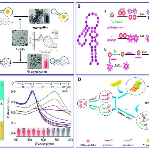 A Schematic Illustration Of Afb1 Assay With The Label Free Download Scientific Diagram