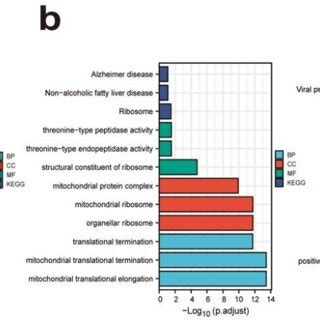 Go Functional And Kegg Pathway Enrichment Analysis Of Degs Go