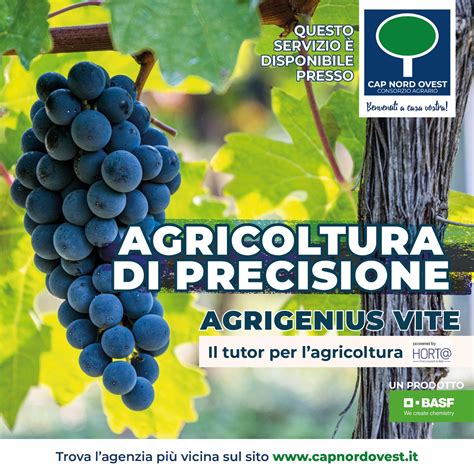 Agrigenius Vite Il Tutor Per L Agricoltura Cap Nord Ovest