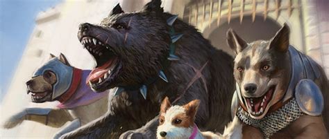 samdo izzet mtg news flash