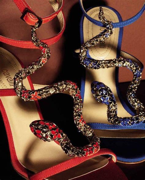 Shoes Cavalli Hot And Heels On Favim