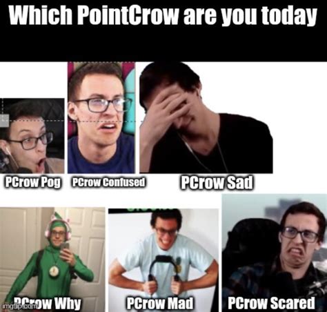 Which Pcrow are u today : r/PointCrow