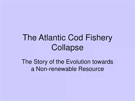 Ppt The Atlantic Cod Fishery Collapse Powerpoint Presentation Id