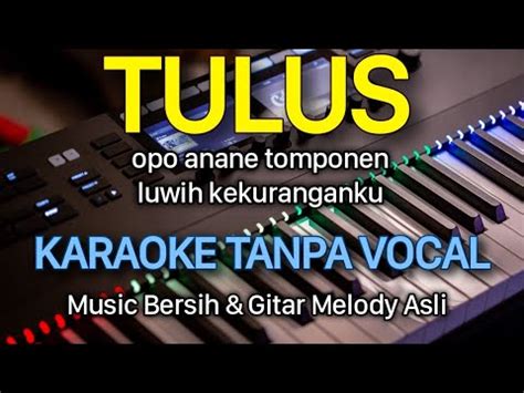 Tulus Karaoke Tanpa Vocal Shinta Arsinta Feat Dimasbad Youtube Music