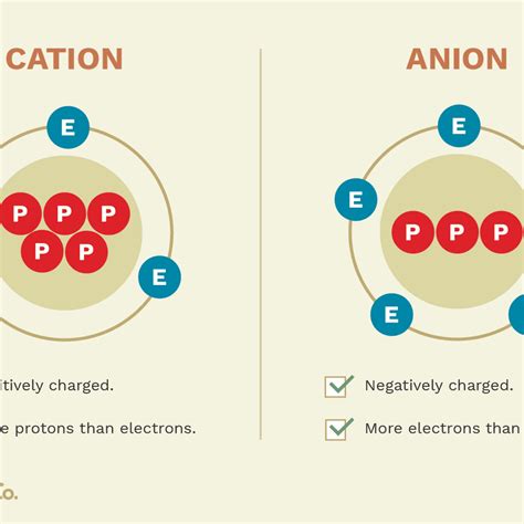 O Cation Or Anion