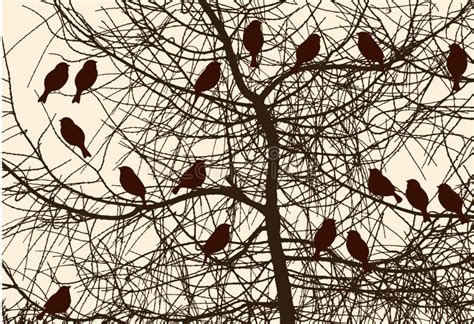 Silhouetten Van De Vogels Op De Boom Vector Illustratie Illustration