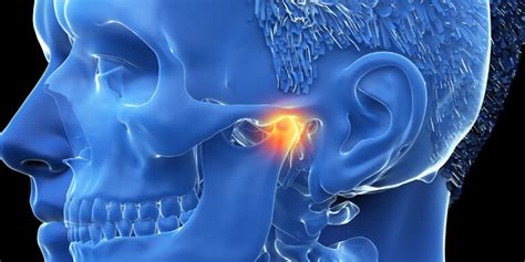 Kiefergelenk Anatomie Funktion Und Beschwerden Medi Karriere