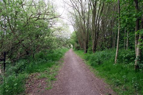 Walk The River Ebbsfleet Northfleet Harbour To Springhead Source