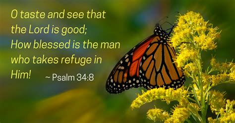 Daily Bible Verse | Verse of the Day | Psalm 34:8 (NASB)