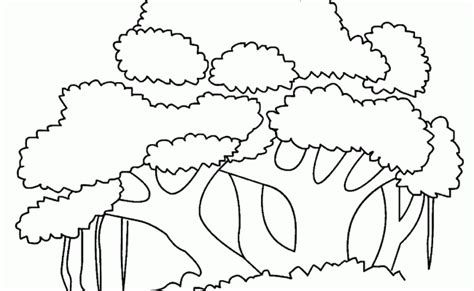 Mewarnai Gambar Pohon Beringin Sila Ke 3 Pohon Sketsa
