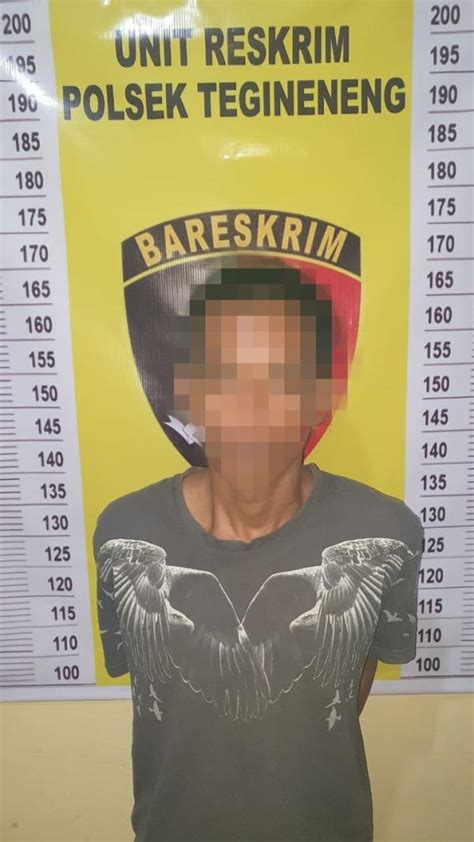 Polisi Berhasil Tangkap Pelaku Pembobol Rumah Di Tegineneng