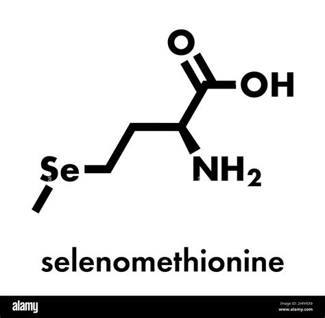 Selenomethionine Amino Acid Molecule Selenium Containing Natural