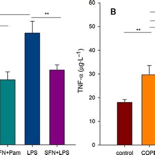 The Effects Of Sfn On Concentrations Of Inflammatory Mediators In Cell