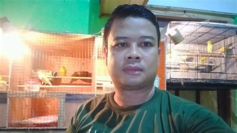 Raih Sukses Ternak Burung Kenari Jagad Tani Petaninya Milenial