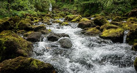 Wildwasser Wasser Fluss Kostenloses Foto Auf Pixabay Pixabay