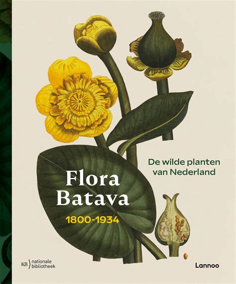 Flora Batava De Wilde Planten Van Nederland