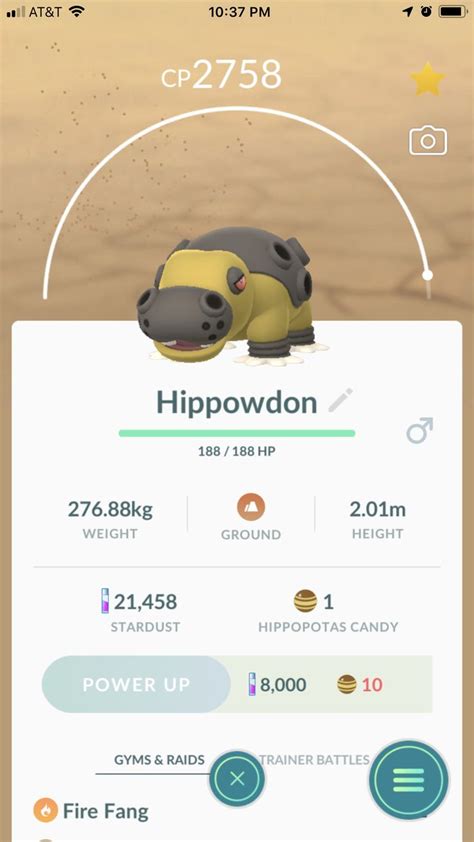 Hippowdon Male