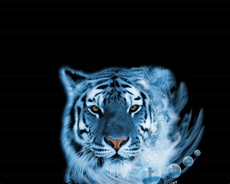 Blue Tiger Wallpapers Top Free Blue Tiger Backgrounds Wallpaperaccess