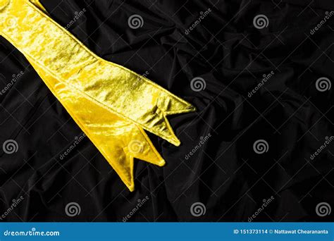 Winner Sash For Miss Pageant Beauty Contest Stock Photo Image Of