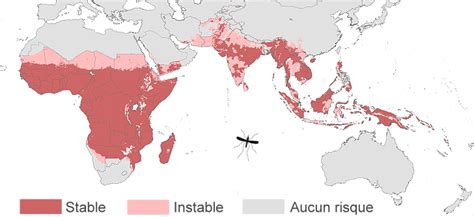 Santé Vietnam le paludisme est un danger