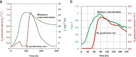 Comparison Of Green Algal And Cyanobacteria Hydrogen Production Rate