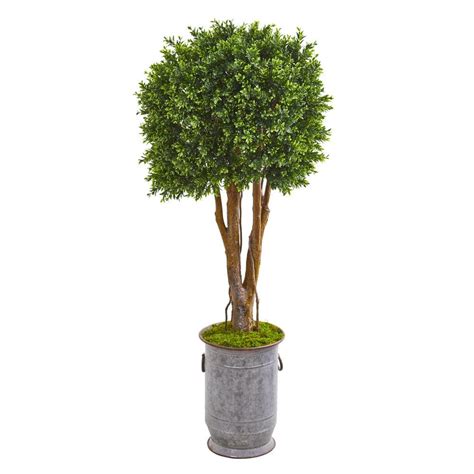 Nearly Natural Indooroutdoor 55 In Boxwood Artificial Topiary Tree In Planter Uv Resistant