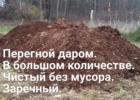 Даром навоз-перегной: Бесплатно - Сад / огород Костанай на Olx