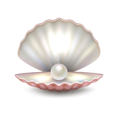 Premium Vector Realistic Vector Beautiful Natural Open Sea Pearl